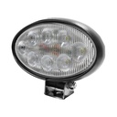 Oval LED Flood Lamp - Dual Mounting (4,400 Lumens)