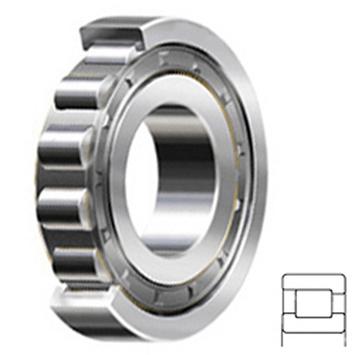 Cylindrical Roller Bearing; 75MM Bore; Straight; 130MM Outside Diameter; Steel Cage; RBEC 1 | ISO P0; Single Row; Outer Ring - One Side Separable
