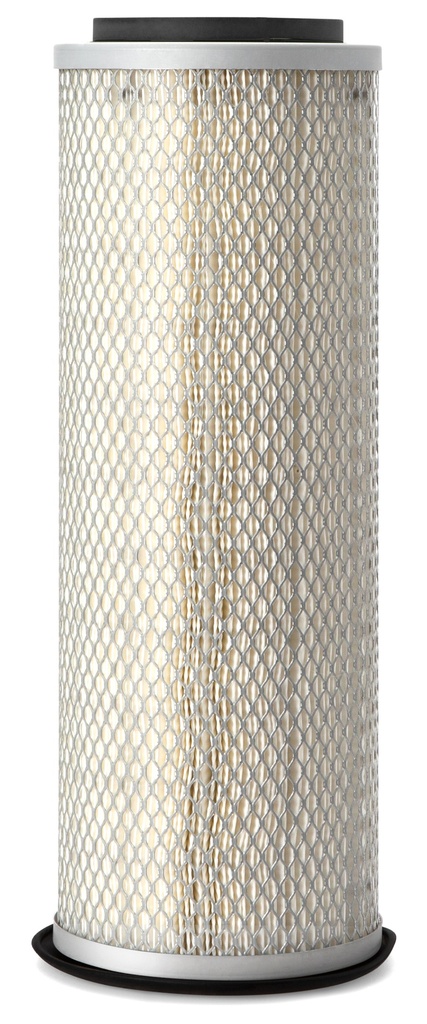Air Filter-Primary