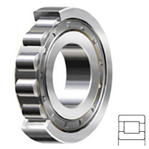 [ECC-NF205] Cylindrical Roller Bearing; 25MM Bore; Straight; 52MM Outside Diameter; 15MM Width; Steel Cage; RBEC 1 | ISO P0; Single Row; Outer Ring - One Side Separable