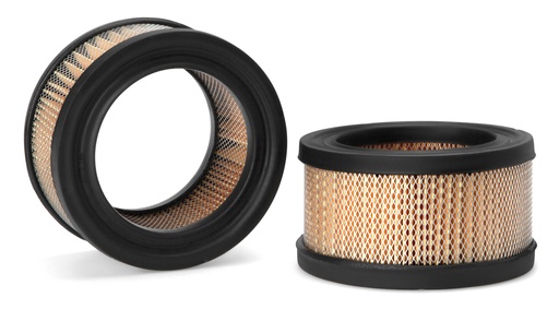 [FLT-AF1651] Air Filter-Canister Type
