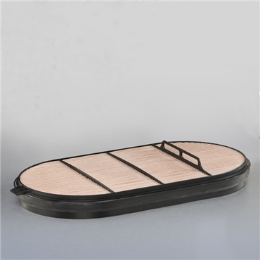 [DON-P621984] Secondary Engine Air Filter